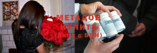 прущие грибы Инта