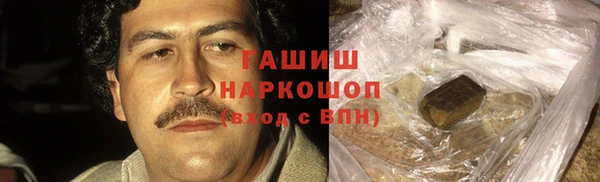 прущие грибы Инта