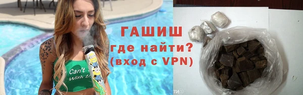 прущие грибы Инта