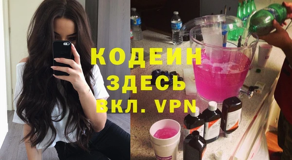 прущие грибы Инта