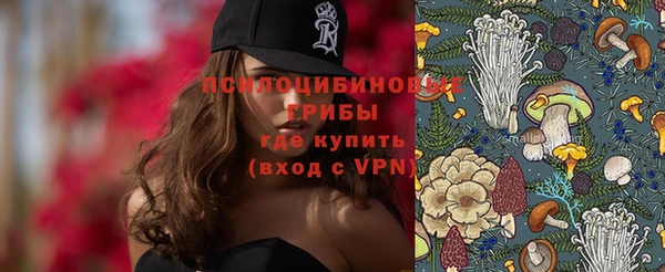 прущие грибы Инта