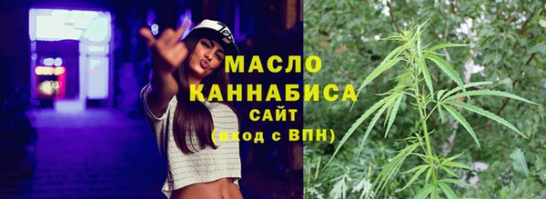 прущие грибы Инта