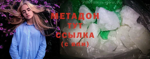 прущие грибы Инта