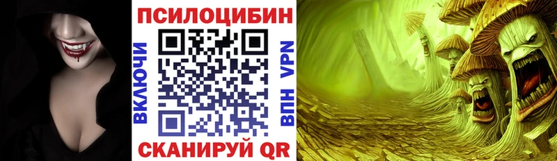 Купить  Злынка  Галлюциногенные грибы Psilocybe 